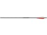 Easton XX75 Magnum 2219 20-inch, 6-pack