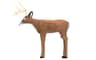 Delta McKenzie Intruder 3D Deer