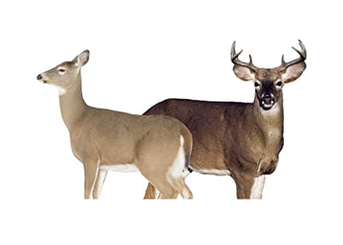 Montana Decoy Whitetail Dream Team, Buck and Doe
