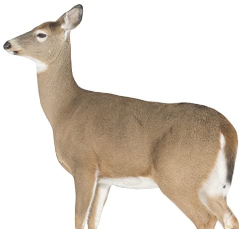 Montana Decoy Dreamy Doe Whitetail Decoy