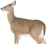 Montana Decoy Dreamy Doe Whitetail Decoy