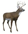 Flambeau Master Series Boss Buck Deer Decoy