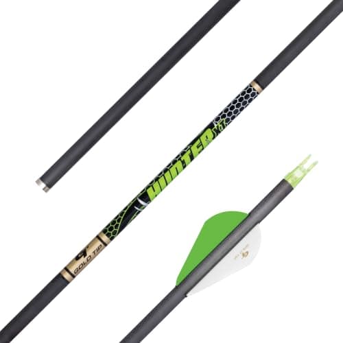 Gold Tip Hunter XT (340)