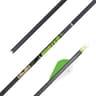 Gold Tip Hunter XT (340)