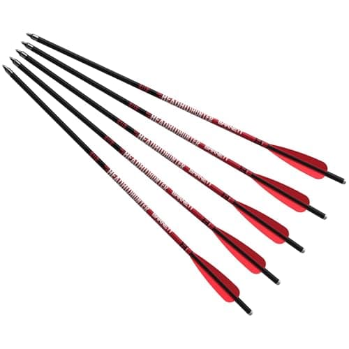 Barnett Headhunter 20-inch, 5-pack