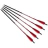 Barnett Headhunter 20-inch, 5-pack
