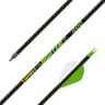 Gold Tip Hunter XT (340)