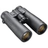 Bushnell Fusion X 10x42
