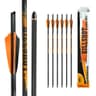 ASODROCK 400-grain 20-inch carbon, 6-pack