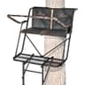 BIG GAME Big Buddy 2-Person Ladder Stand, 16'