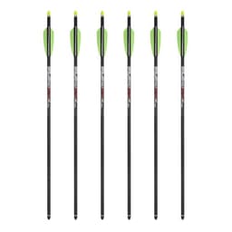 TenPoint Pro Elite 400 20-inch, 6-pack
